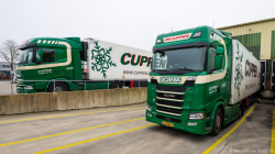 20250301-Cuppen-00156